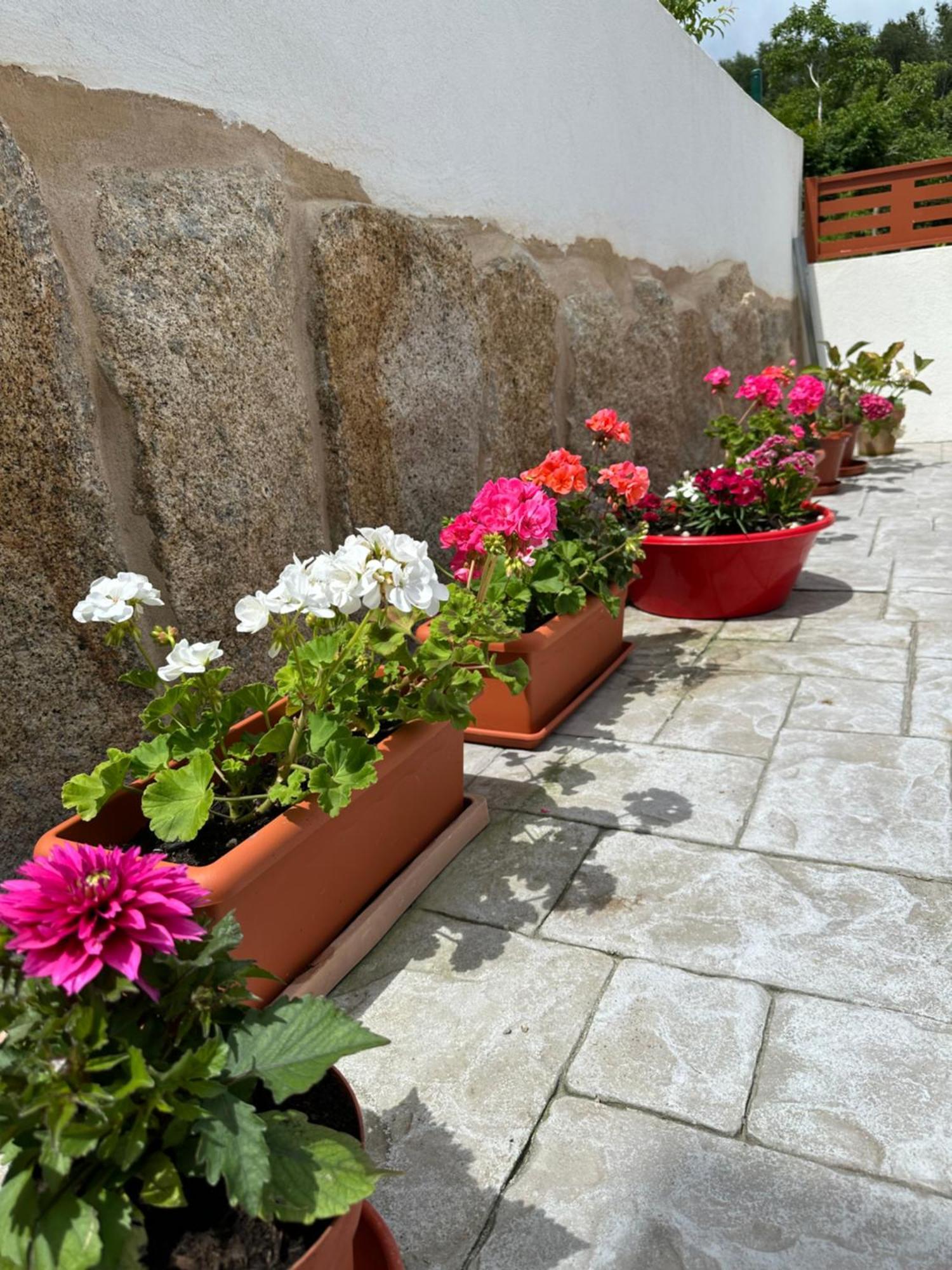 Holiday home Casa La Oveja Negra, Con Piscina